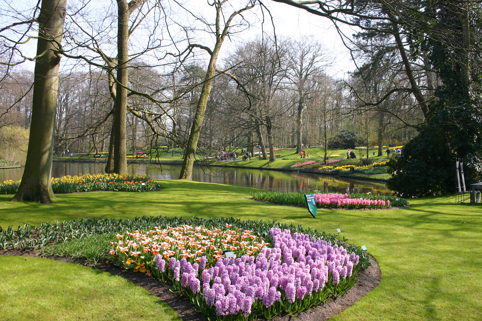 Keukenhof, Lisse